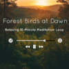Peaceful morning forest ambience with gentle bird calls – perfect for meditation, relaxation, and spiritual practice.