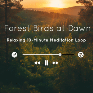 Peaceful morning forest ambience with gentle bird calls – perfect for meditation, relaxation, and spiritual practice.