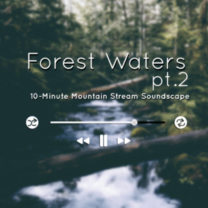 Trickling mountain stream under forest canopy, peaceful audio ambience for meditation and sleep