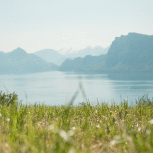 Mindful Nature Sounds