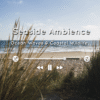 Calming seaside scene with ocean waves, crickets, and gentle nature sounds for meditation and relaxation