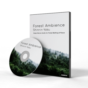 Deep forest ambience with crickets, owls, and peaceful nature sounds