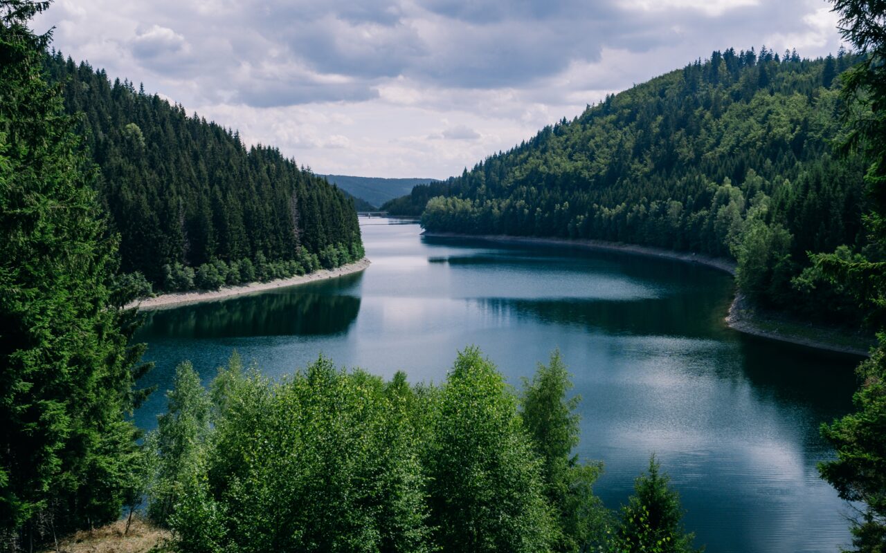 Reconnect with Nature’s Calm – soothing ambient sound banner